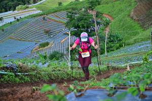 BIB: 
                            <button type="button" onclick="openModal(13381590)" class="btn btn-primary btn-sm float-right btn-popup" data-toggle="modal" data-target=".modal-high-quality">
                        <i class="fas fa-shopping-cart"></i> Add to Cart
                    </button>
                                            <button type="button" onclick="isThisMe(13381590, true)" class="btn btn-success btn-sm float-right btn-popup btn-isme hidden" data-toggle="tooltip" data-placement="bottom" title="นี่คือรูปของคุณใช่ไหม คลิกที่นี่เพื่อเอาเข้าอัลบั้ม">
                        <i class="fas fa-plus"></i> Add to album
                    </button>
                    <button type="button" onclick="isThisMe(13381590, false)" class="btn btn-warning btn-sm float-right btn-popup btn-isnotme hidden">
                        <i class="fas fa-ban"></i> Remove from album
                    </button>